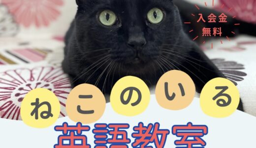 教室のチラシを